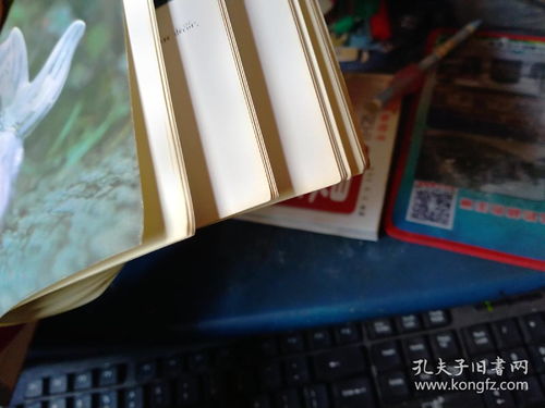 稀土在景德镇陶瓷工业中的应用 科技与传统交融的釉色之美